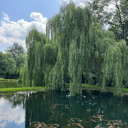 Restauracja I Izba Rybacka W Krainie Wygaslych Wulkanow *