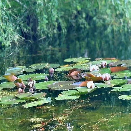 Restauracja I Izba Rybacka W Krainie Wygaslych Wulkanow