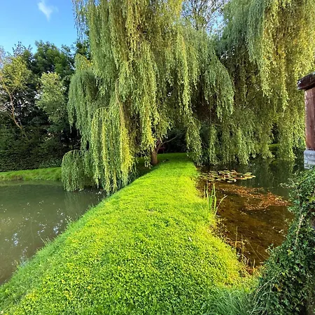 Restauracja I Izba Rybacka W Krainie Wygaslych Wulkanow