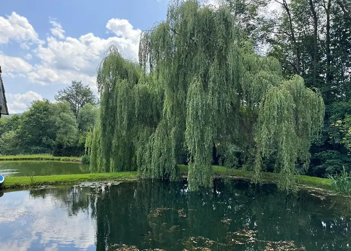Restauracja I Izba Rybacka W Krainie Wygaslych Wulkanow *