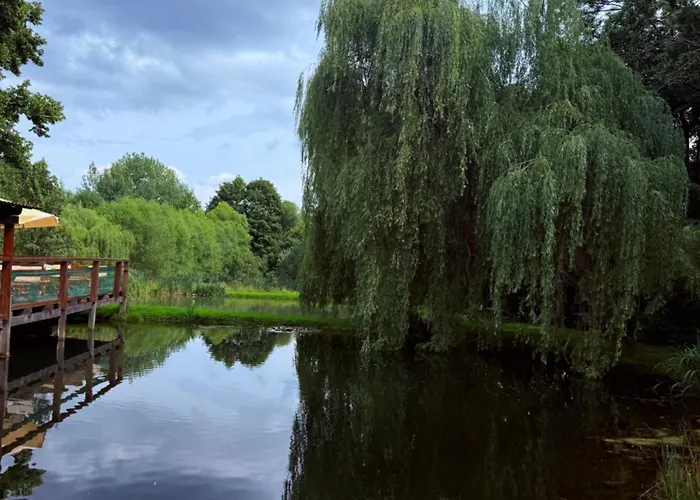 Daire Restauracja I Izba Rybacka W Krainie Wygaslych Wulkanow *