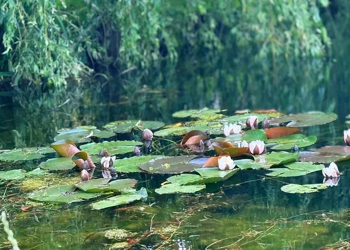 Restauracja I Izba Rybacka W Krainie Wygaslych Wulkanow