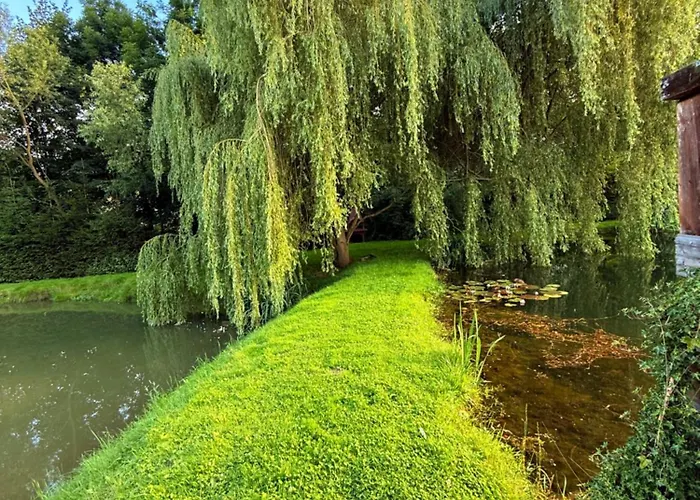 Restauracja I Izba Rybacka W Krainie Wygaslych Wulkanow