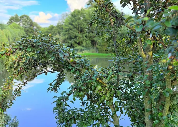 아파트 Restauracja I Izba Rybacka W Krainie Wygaslych Wulkanow